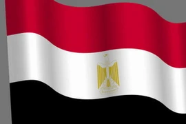 Quan hệ hợp tác giữa Việt Nam và Ai Cập sẽ ngày càng phát triển