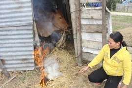 Không khí lạnh tăng cường, Bắc Bộ lại rét đậm từ chiều mai