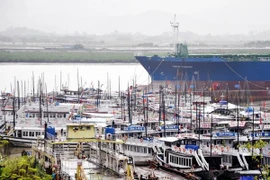 Bão số 2 cách Móng Cái khoảng 420km về phía Đông Đông Nam