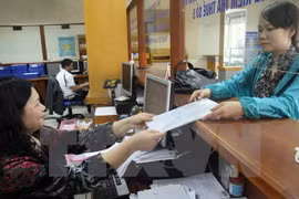 Ảnh minh họa. (Nguồn:TTXVN)