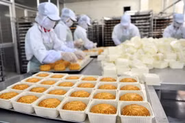 Tổ chức 8 đoàn thanh tra an toàn thực phẩm dịp Tết Trung thu