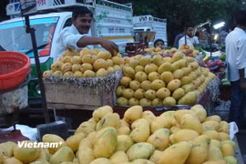 Trái cây Việt Nam. (Ảnh minh họa. Nguồn: PV/Vietnam+)