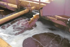 Phạt doanh nghiệp xả thải ra sông Vàm Cỏ Đông 235 triệu đồng