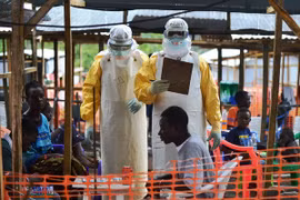 Chuyên gia y tế kêu gọi châu Âu hỗ trợ Tây Phi dập dịch Ebola