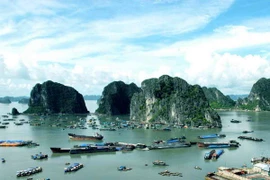 Đưa 143 hộ nhà bè Vịnh Hạ Long lên khu tái định cư