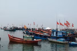 Ngư dân Quảng Ngãi bám biển, bảo vệ biển đảo quê hương