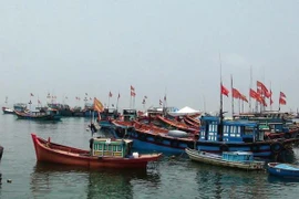 Ngư dân Quảng Ngãi bám biển, bảo vệ biển đảo quê hương