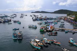 Nghiên cứu khoa học về biển - Tình yêu và trách nhiệm 