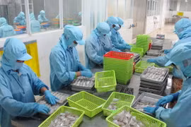 Ngành thủy sản Việt Nam nắm bắt cơ hội từ hội nhập