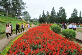 Khai mạc Tuần lễ phim chào mừng Năm Du lịch Quốc gia Tây Nguyên-Đà Lạt