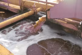 Báo động ô nhiễm nguồn nước nghiêm trọng tại Hải Dương