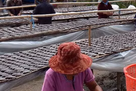 Mặt hàng tôm khô, cá khô ở Cà Mau tăng giá mạnh 