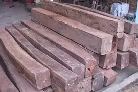 Đắk Lắk điều tra vụ vận chuyển gỗ trái phép, hành hung cán bộ