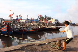 Xây dựng phương án ứng phó bão mạnh trước tháng 6/2015