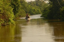 Vi phạm giao thông đường thủy gây chết người, bị phạt 7 năm tù