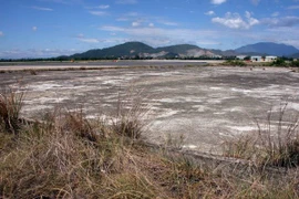 Điều phối hiệu quả hoạt động khắc phục hậu quả chất độc da cam