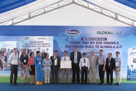 Trang trại bò sữa đầu tiên đạt tiêu chuẩn quốc tế GlobalGAP