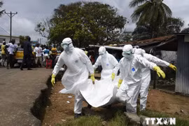 WHO: Số ca nhiễm virus Ebola đã vượt quá 10.000 người