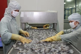 Xuất khẩu tôm lần đầu tiên đạt giá trị trên 3 tỷ USD