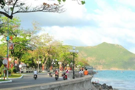 Bảo tồn tài nguyên đa dạng sinh học - Động lực phát triển Côn Đảo