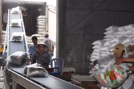 Xuất khẩu: Không tận dụng cơ hội, lợi thế vẫn chỉ ở tiềm năng