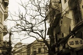 Khai trương 6 tuyến phố đi bộ mở rộng tại khu phố cổ Hà Nội