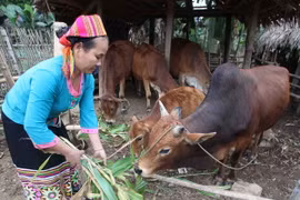 Cụ thể hóa mục tiêu giảm nghèo vào phát triển kinh tế-xã hội