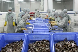 Nỗ lực đáp ứng tiêu chuẩn xuất khẩu vào thị trường EU