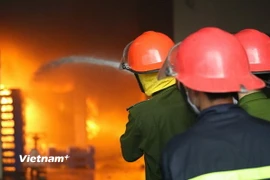 Ảnh minh họa. (Ảnh: TTXVN phát)