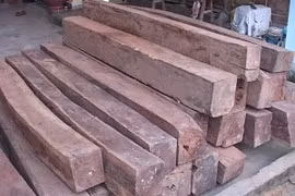 Ảnh minh họa. (Nguồn: TTXVN)