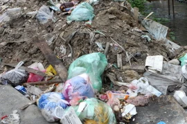 Loay hoay bài toán xử lý rác thải nông thôn ở Thái Bình