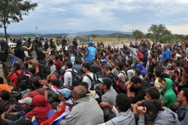 Người di cư chờ đợi tại thị trấn biên giới Idomeni, miền bắc Hy Lạp để được làm thủ tục nhập cảnh vào Macedonia ngày 7/9. (Nguồn: AFP/TTXVN)