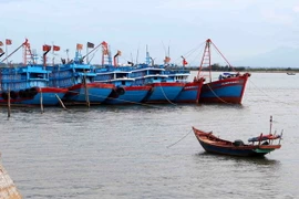 (Ảnh minh họa: Thanh Tùng/TTXVN)