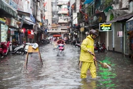 (Ảnh minh họa: Nguyễn Quang/TTXVN phát.)