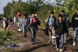 Người di cư tại khu vực biên giới Hungary-Serbia, gần thị trấn Horgos của Serbia ngày 14/9. (Nguồn: AFP/TTXVN)