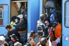 Người di cư chen lên tàu tại nhà ga ở Beli Manastir, Croatia ngày 18/9. (Nguồn: Reuters/TTXVN)