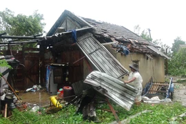 Hậu quả trận lốc xoáy tại thị trấn Nông Trường Việt Trung (huyện Bố Trạch, Quảng Bình). (Ảnh: Đức Thọ/TTXVN)