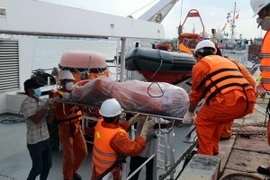 (Ảnh minh họa: Đoàn Mạnh Dương/TTXVN)