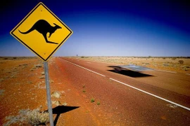 Australia đối mặt với tình trạng thừa điện chưa từng có tiền lệ