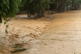 Lào Cai: Một người bị lũ cuốn mất tích khi đang đánh bắt cá