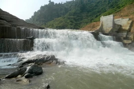 (Ảnh minh họa: Hồ Cầu/TTXVN)