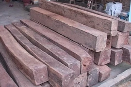 Quảng Nam bắt giữ vụ vận chuyển gỗ trái phép với quy mô lớn