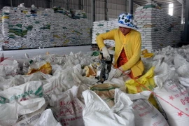 Sri Lanka đề nghị nhập khẩu 15.000 tấn gạo từ Việt Nam