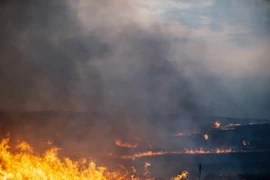 Đoàn xe chở hàng cứu trợ của Nga lên đường sang Ukraine