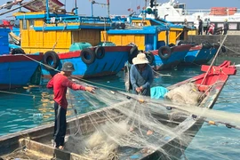 Việt Nam đang nỗ lực phát triển ngành nuôi trồng và khai thác hải sản bền vững. (Ảnh: PV/Vietnam+)