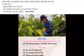 Người lao động cần tìm kiểu kỹ thông tin về thông báo tuyển dụng rất hấp dẫn về thị trường Hy Lạp. (Ảnh: PV/Vietnam+)
