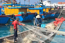 Các địa phương đang tiếp tục triển khai các giải pháp phòng chống khai thác IUU. (Ảnh: PV/Vietnam+)