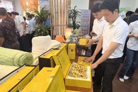 Giới thiệu, trừng bày các sản phẩm đạt OCOP 5 sao. (Ảnh: PV/Vietnam+)