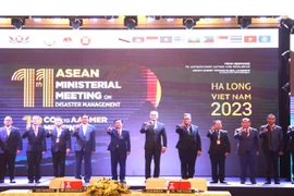 Các Bộ trưởng, Thứ trưởng đại diện các nước ASEAN tham dự Hội nghị AMMDM 11. (Ảnh: Vietnam+)