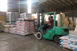 Công ty cổ phần Công nghệ Hà Lan đã tiếp cận được chương trình hỗ trợ lãi suất 2%/năm theo Nghị định 31. (Ảnh: Vietnam+)